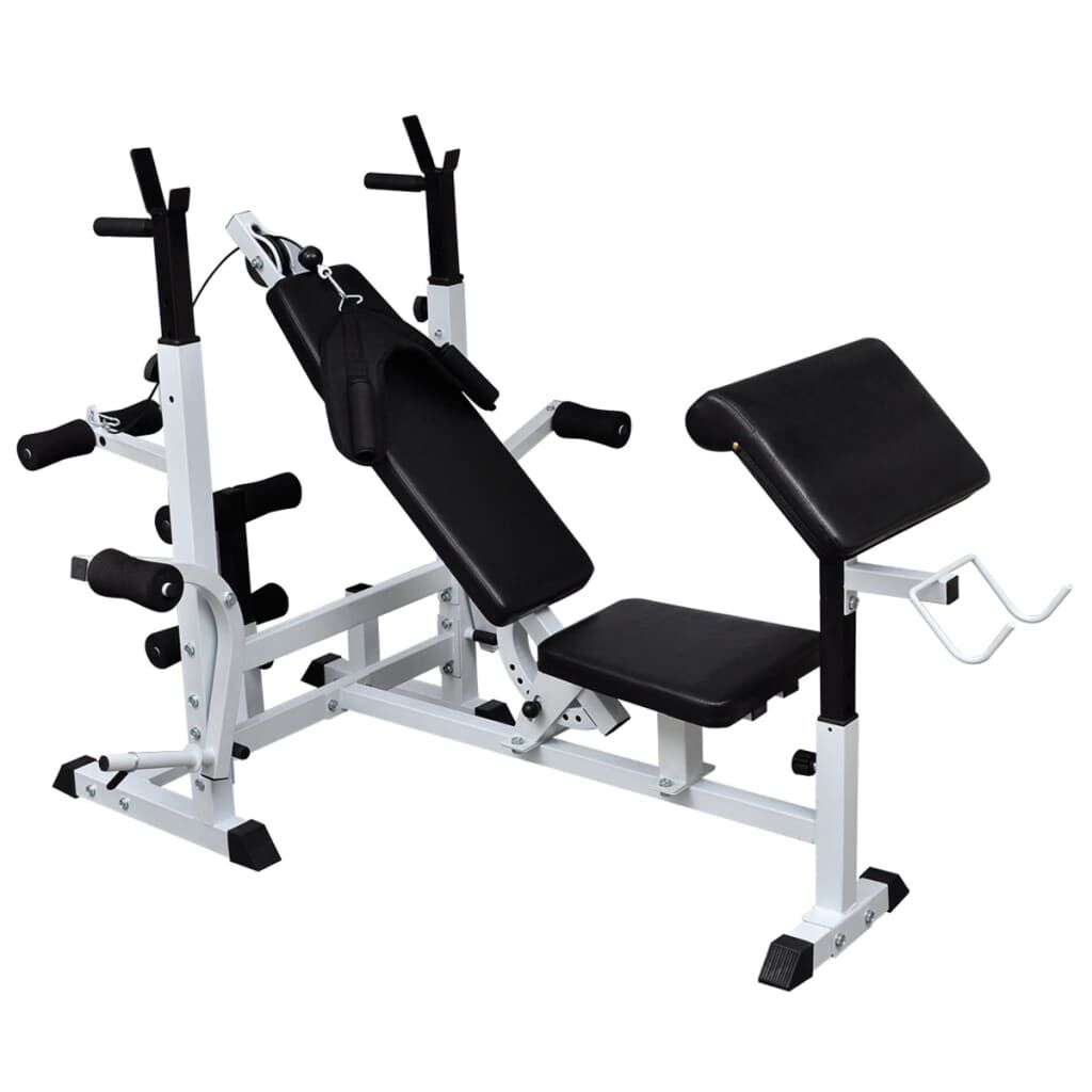 vidaXL ウェイトラック＋バーベル＋ダンベルセット付ワークアウトベンチ 60.5 kg (90366+90375)