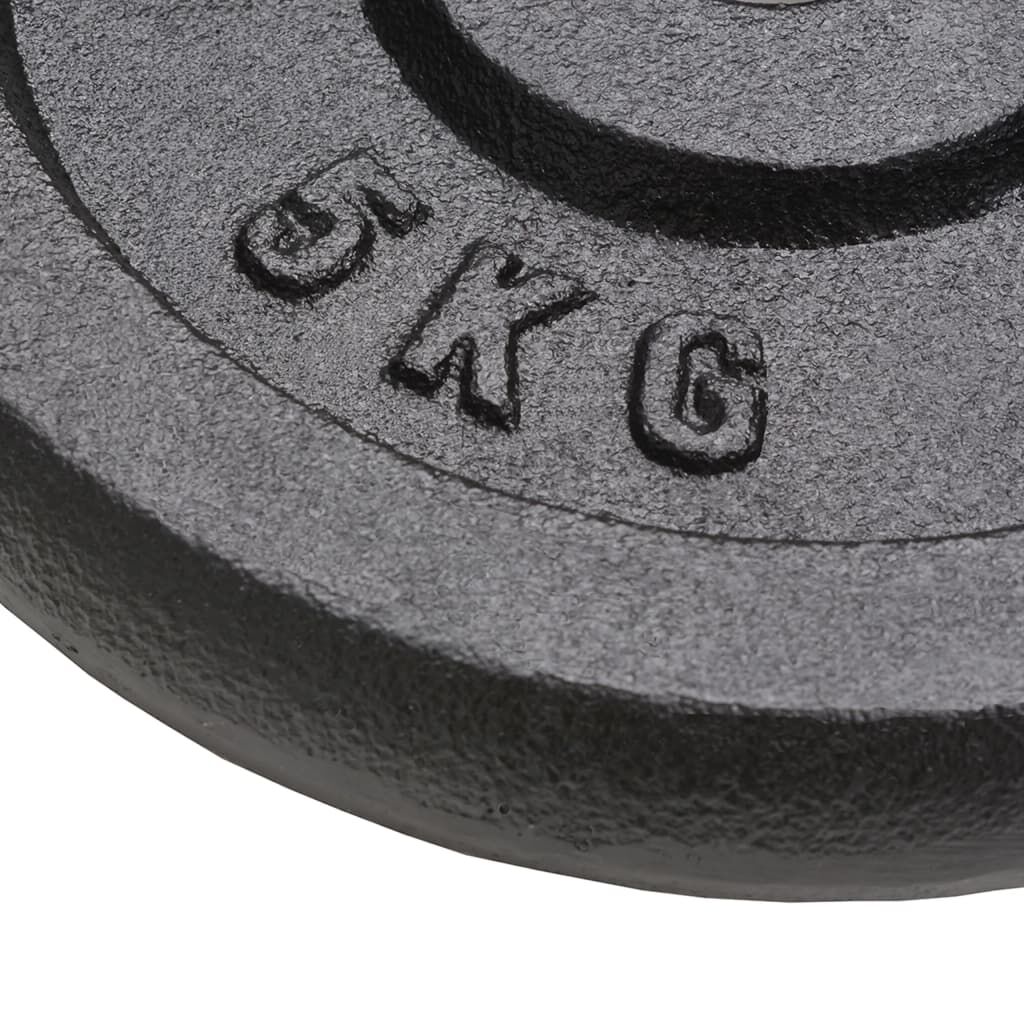 vidaXL バーベルプレート 4点 2x10kg+2x5kg 鋳鉄製